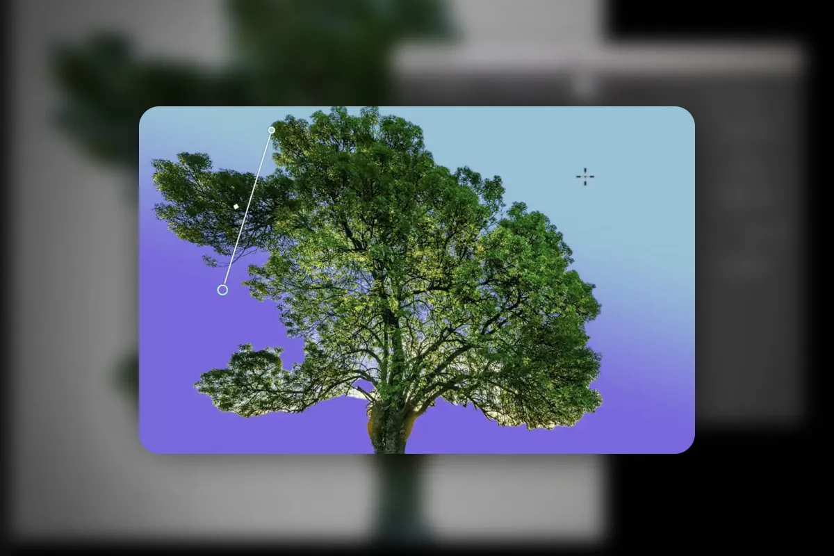 Fotos Freistellen über KI: 04 | In Photoshop einen Baum freistelle mit und ohne Hilfe von KI