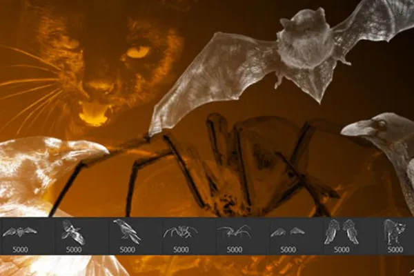 Halloween-Bilder als Photoshop-Pinsel: Spinnen, Katzen, Fledermäuse und Co