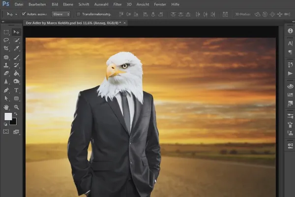 Photoshop-Composing - Der Adler: 02 - Adlerkopf und Anzug freistellen, Masken verfeinern und realistisch schattieren