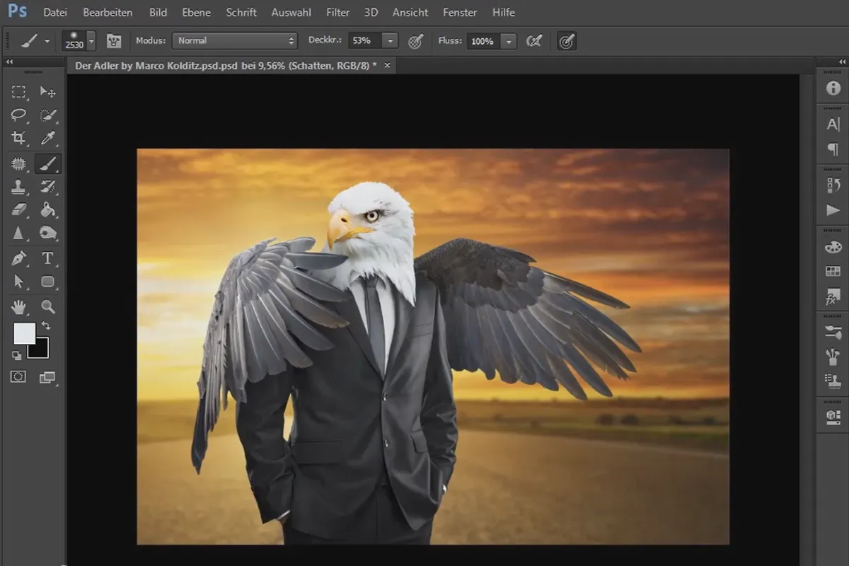 Photoshop-Composing - Der Adler: 03 - Flügel freistellen, rekonstruieren, platzieren, schattieren und beleuchten