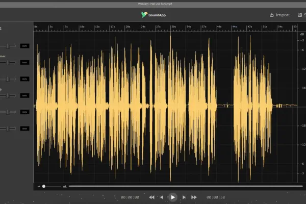 Waveform einer Audio-Aufnahme in der Anwendung SoundApp