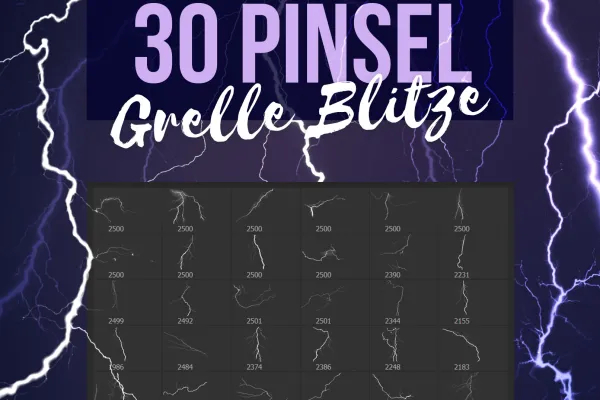30 Pinsel mit Blitz-Bildern